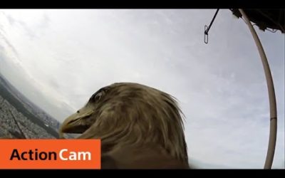 Action Cam | Flying Over Paris – The Eagle POV | Sony