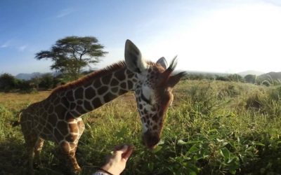 Nikon KeyMission 360: Compilation of full 360° videos