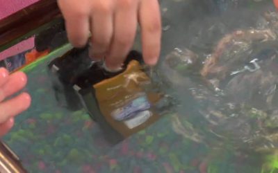 Stylus TOUGH Episode 4: Fishtankproof