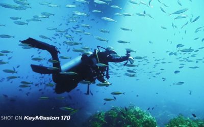 Nikon KeyMission Story: Saving an underwater jewel with Sophie