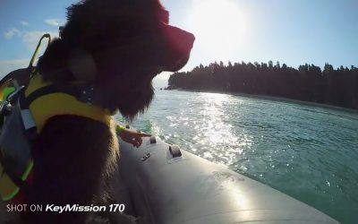 Nikon KeyMission Story: Lifeguard on four paws with Ted