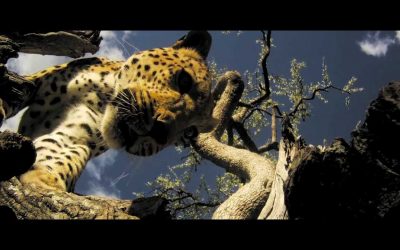 Veho MUVI HD Handsfree ActionCam with 8 GB Memory and Waterproof Case