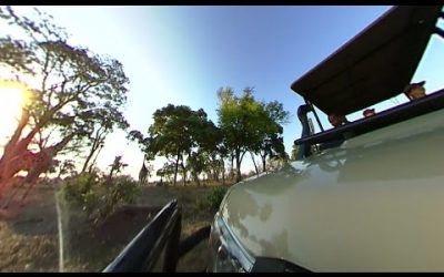 360fly: African Bush Camp