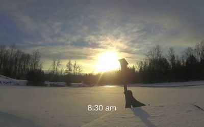 WASPcam GIDEON action-sports camera: Low light examples