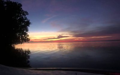 WASPcam Time Lapse – Reel Tease Fishing