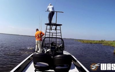 WASPcam Promo Video 2017