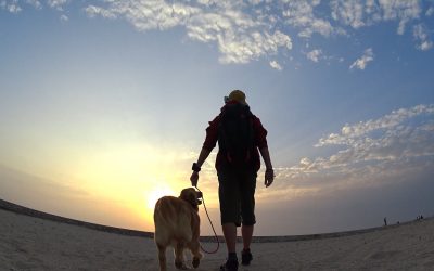 Finding Colors in Okinawa – 4K | Action Cam | Sony