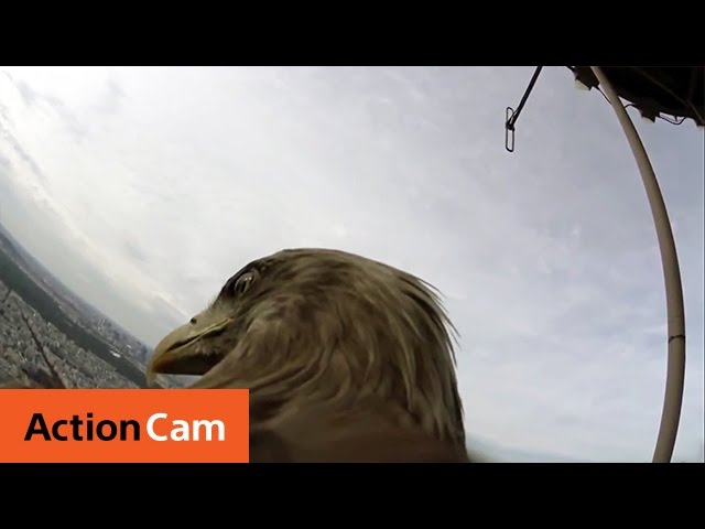 Action Cam | Flying Over Paris – The Eagle POV | Sony