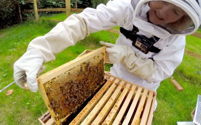 GoPro: Beekeeping with Maddie and Mum