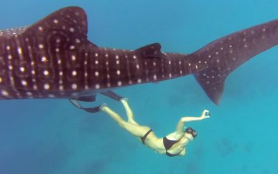 GoPro Awards: Ocean Ramsey and a Whale Shark