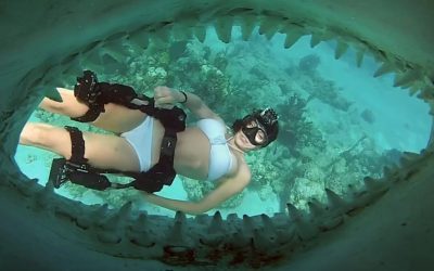 GoPro: Director’s Cut – Shark Riders