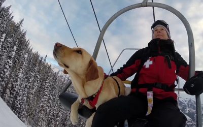 GoPro Awards: Telluride Avalanche Dogs