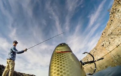 GoPro: Brent Ehrler – An Angler’s Joy