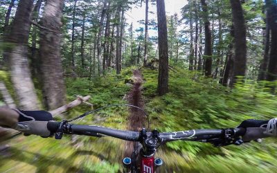 GoPro:  Stevey Storey’s Winning Line – 2016 GoPro of the World powered by Pinkbike