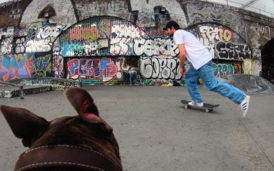 GoPro Skate: Follow Cam Dog in 4K