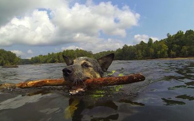 GoPro: River Bassin’ with Drew and Lu