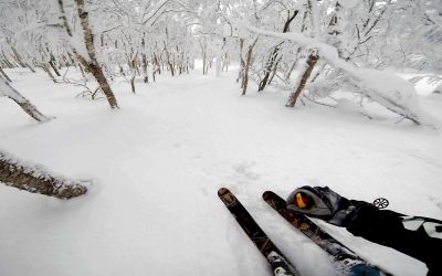 GoPro: Screaming Skier At Mt. Niseko In Japan