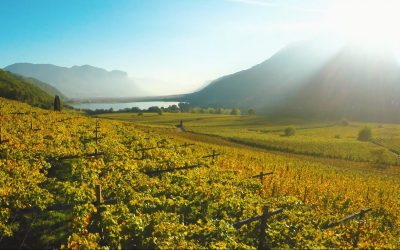 GoPro Awards: Italy from Above in 4K