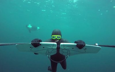 GoPro Awards: Soaring with Orcas