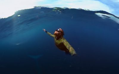 GoPro VR: Diving With a Blue Whale