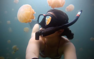 GoPro: Lost in Jellyfish Lake