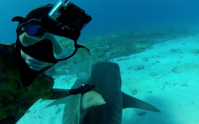 GoPro:  Shark Riders – TV Commercial – You in HD