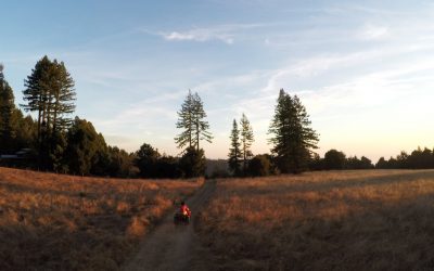 GoPro: Karma — If life is a dream…