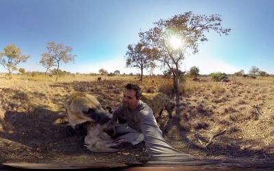 GoPro VR: Hyenas Wrestling With Kevin Richardson