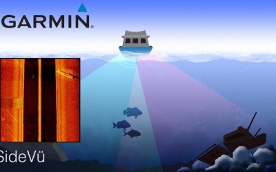 Support: Transducer Views