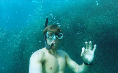 GoPro Awards: Swimming with a School of Silver Fish