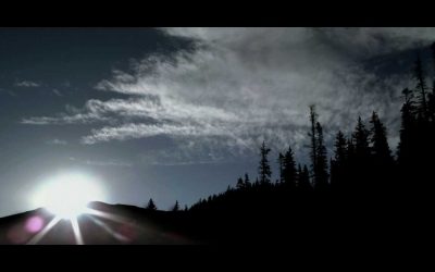 Garmin presents power with Vector