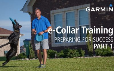 e-Collar Training: Preparing for Success with Garmin, Part 1