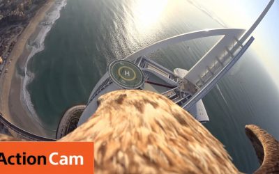 Flying over Dubai’s Burj Al Arab | The Eagle POV | Action Cam | Sony