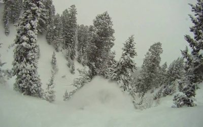 Bluebird Wax – Drift – Snowboard Edit