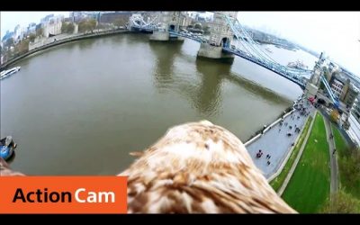 The London Tower Bridge Eagle POV | Action Cam | Sony