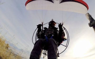 GoPro: Paramotor Over Snowy Marshes
