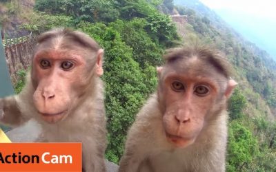 Action Cam | A South India Trip | Sony