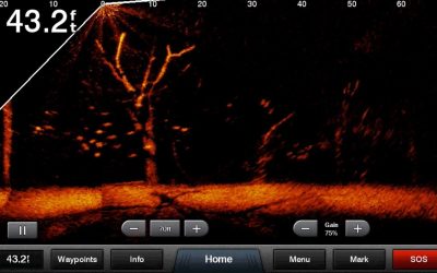 Panoptix LiveScope – The most amazing sonar technology ever.