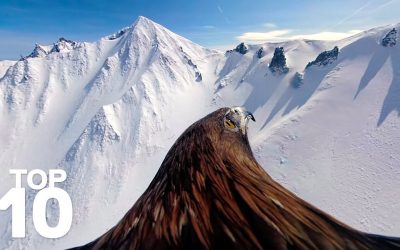 GoPro: Top 10 Moments of Winter