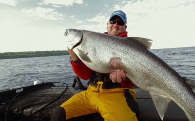 Garmin Panoptix LiveVü Down: Great Lakes Fishing