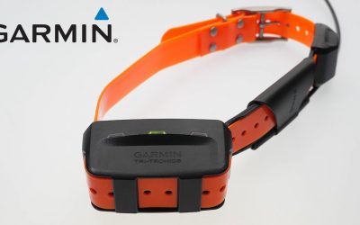 Support: Troubleshooting GPS Reception Issues on a Dog Collar