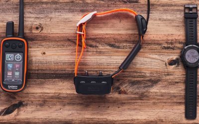 Support: Dog Tracking with a Garmin Watch