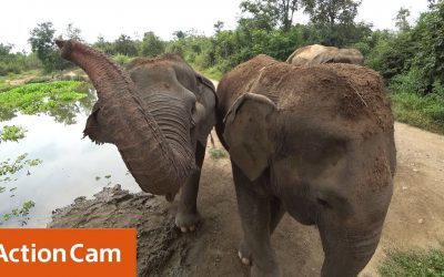 Action Cam | “Our World Through the Lens of” – Ep.3 Ivan Castro | Sony