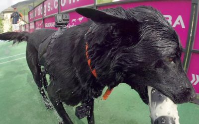 GoPro: Dock Dogs Big Air Course Preview – GoPro Mountain Games 2014