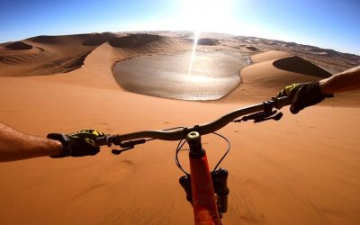 GoPro: Pinkbike Best Line Contest 2019