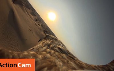 Victor the Eagle discovers the desert – The Eagle POV | Action Cam | Sony