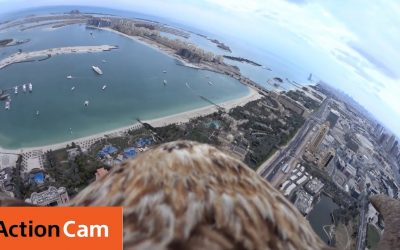 Flying over Dubai’s Palm Island The Eagle POV | Action Cam | Sony