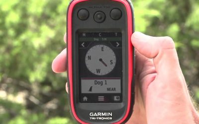 Training Multiple Dogs with the Garmin Alpha®