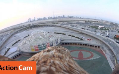 Flying Over Dubai’s Meydan City – The Eagle POV | Action Cam | Sony