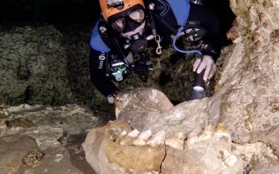 GoPro: Best Discoveries from The Underworld